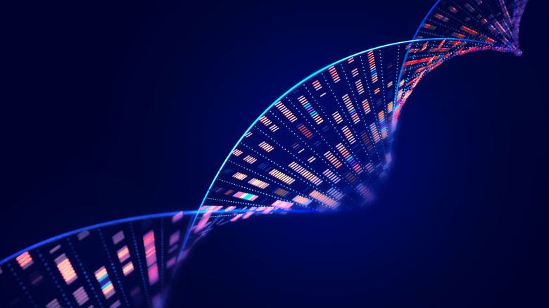 DNA strand