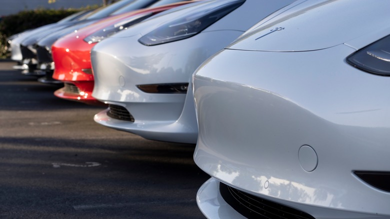 Tesla cars lined-up