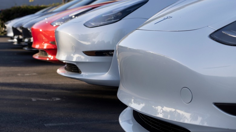 Tesla cars lined-up