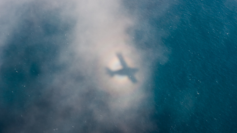 A shadow of a plane appears in a halo of light over water