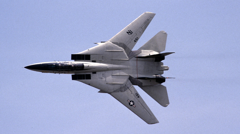 A Grumman F-14 Tomcat does a low level fly-by during military exhibition at Blythe Air Show