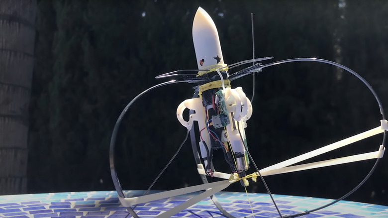 Screenshot of jumping robot