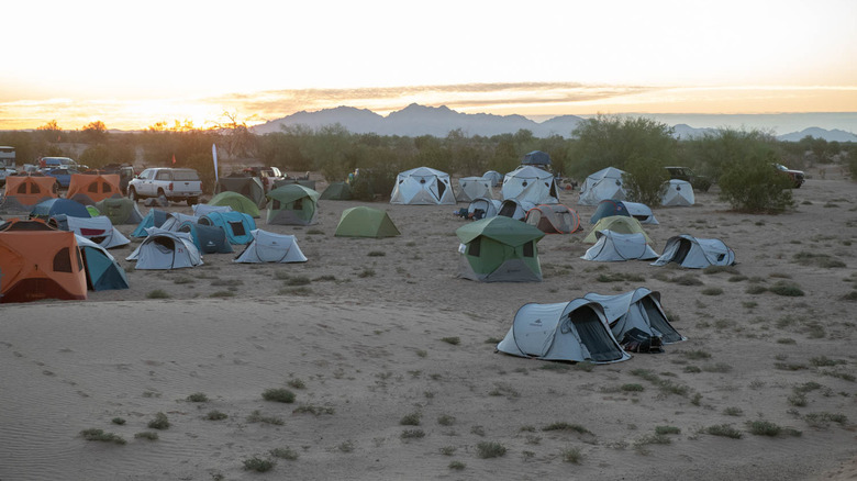 Basecamp