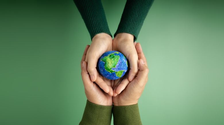 hands holding a globe