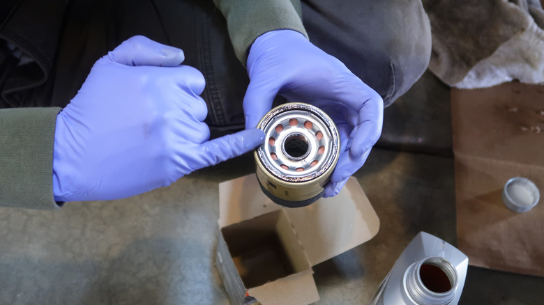 A person applying oil to the oil filter gasket
