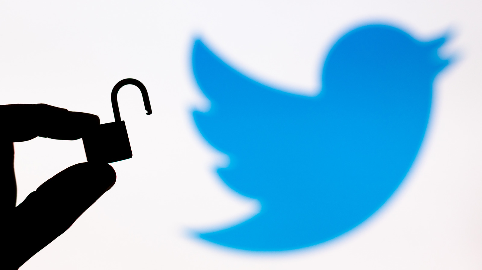 How To Archive All Of Your Twitter Data And Secure Your Account