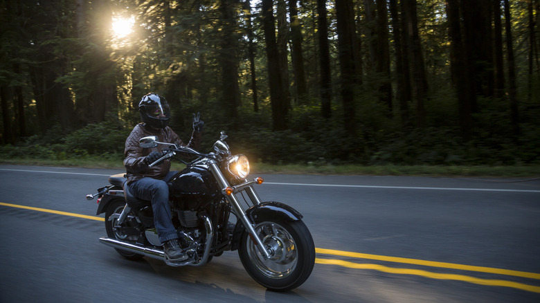 Man riding motorcycle on highway through forest