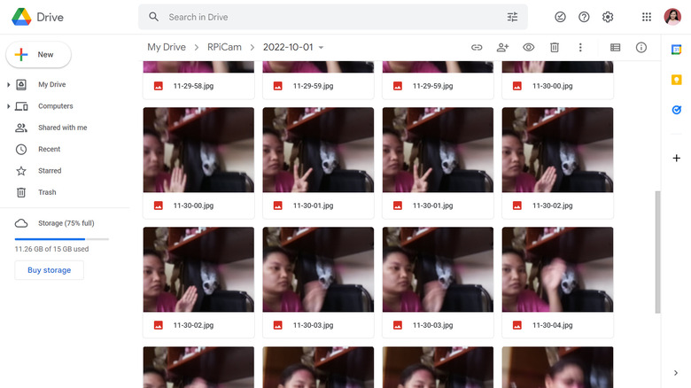 google drive folder with photos