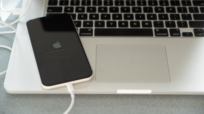 iPhone plugged into Macbook