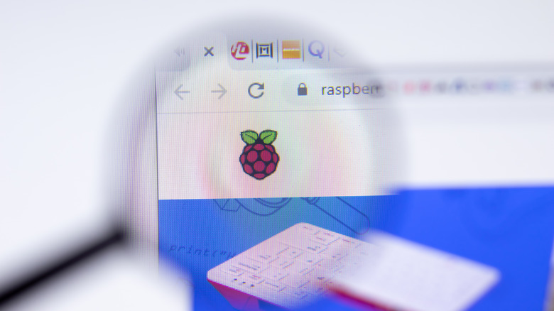 Raspberry Pi logo in browser