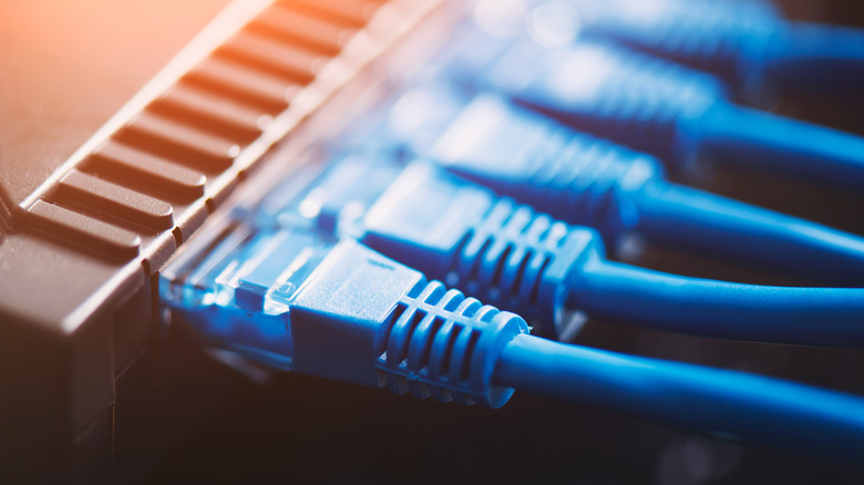 Close-up of Ethernet plugs