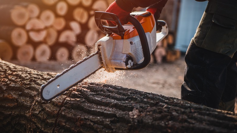 Active chainsaw cutting through log