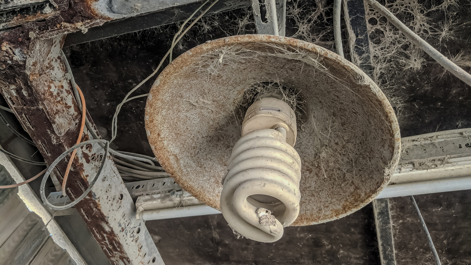 How To Clean A Light Bulb, According To The Experts