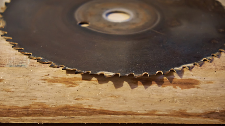 Saw blade displayed on top of a wood surface