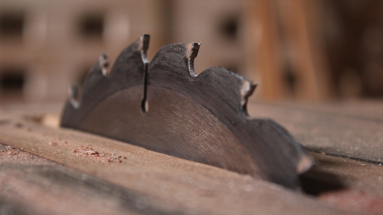 Close-up of dirty circular saw blade embedded in wood
