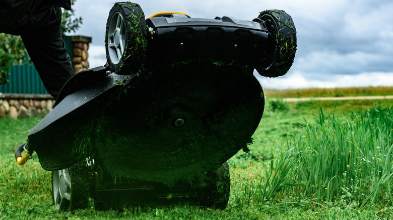 Mower's grassy undercarriage