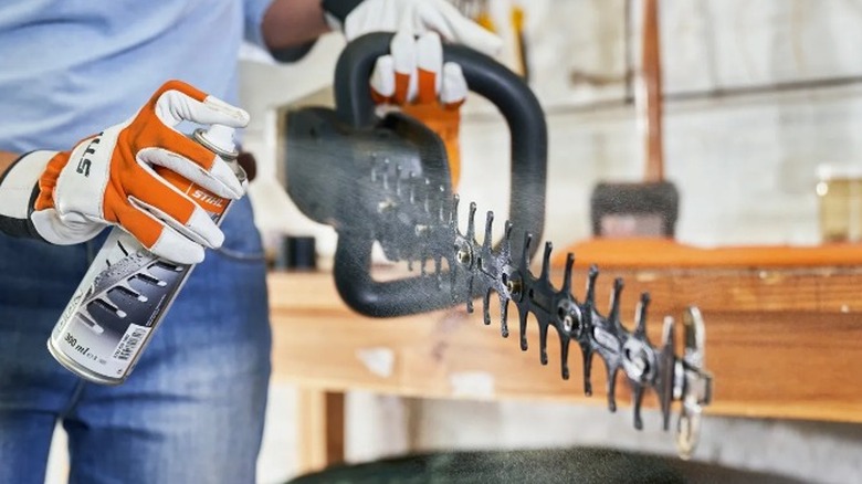Person applying lubricant to hedge trimmer