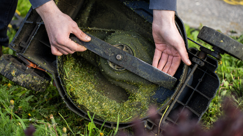 Person holding cutting blade under electric lawn mower