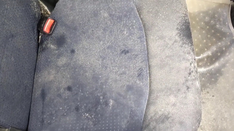 A close-up of mold on a car seat