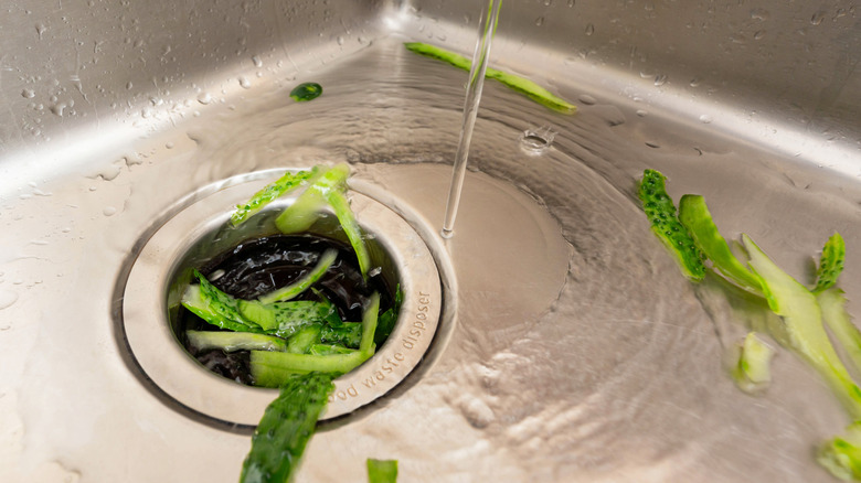 vegetables going inside waste disposal