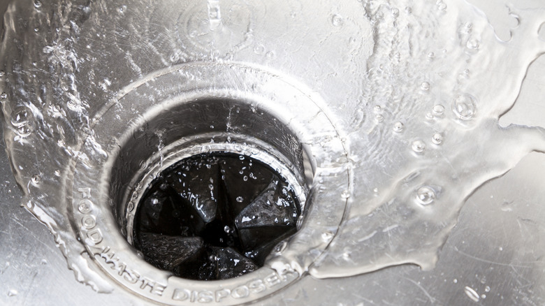 garbage disposal with water