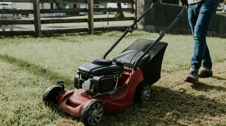 A Man Mowing A Lawn With A Walk-Behind Push Mower