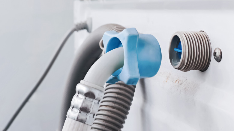 A shot of the inlet hoses on the back of a washing machine