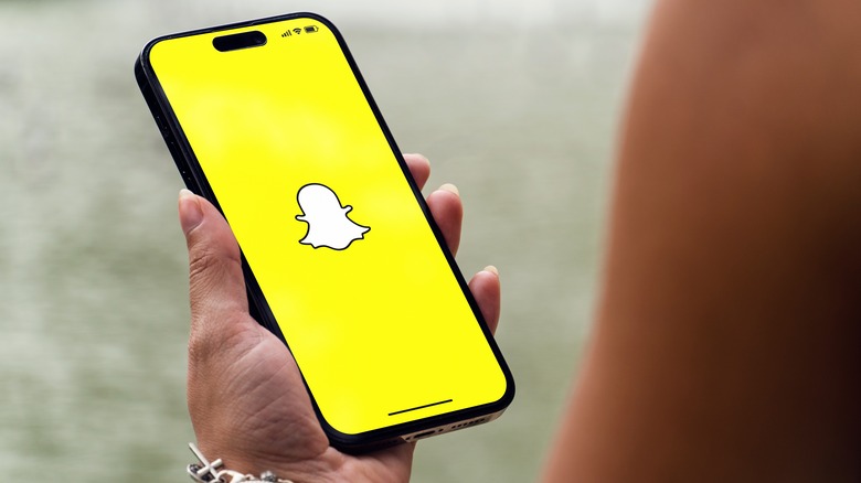 undulate Brudgom forbundet How To Clear Snapchat's Cache On Android Or iPhone