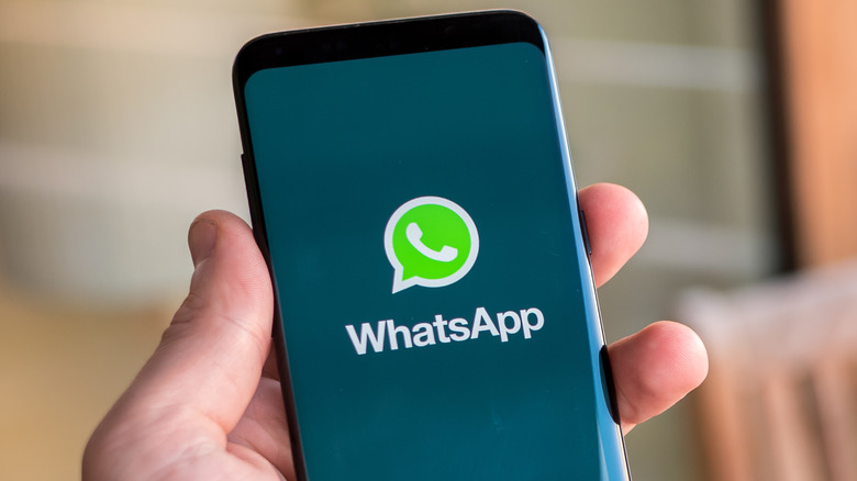 WhatsApp logo smartphone screen
