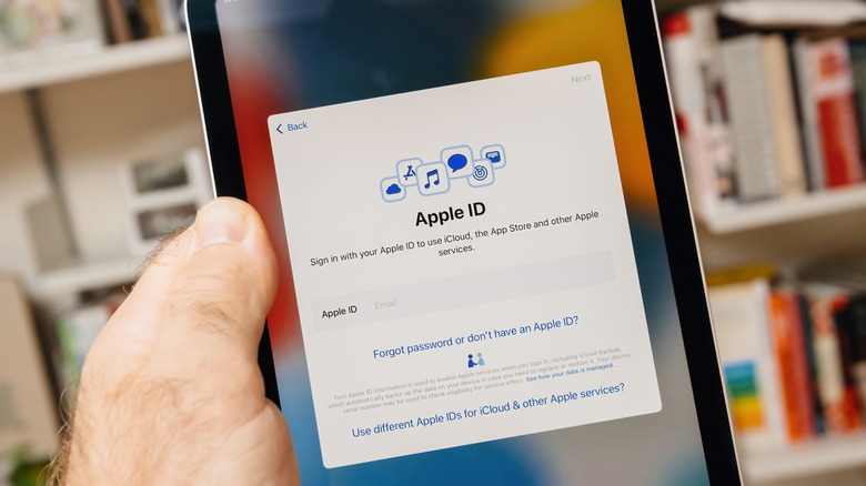 Apple ID login on iPad