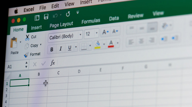 Photo of a computer screen displaying Microsoft Excel