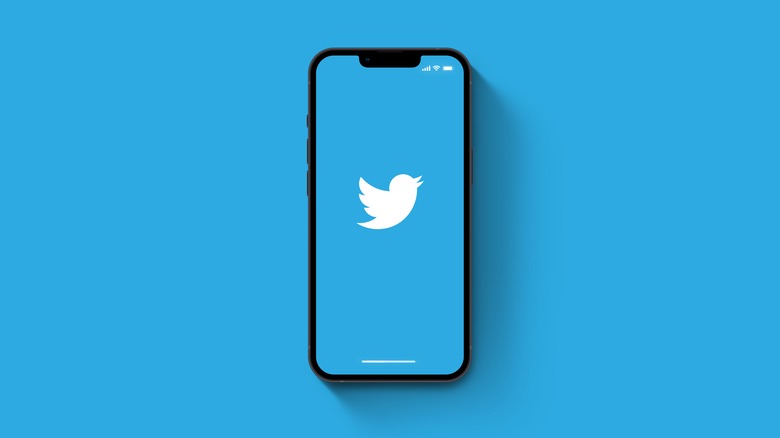 Twitter logo on iPhone