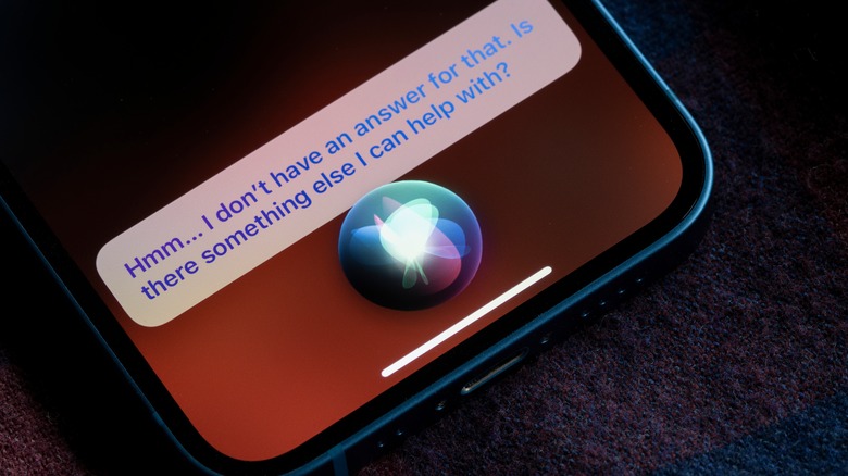 Picture of Siri response on iPhone