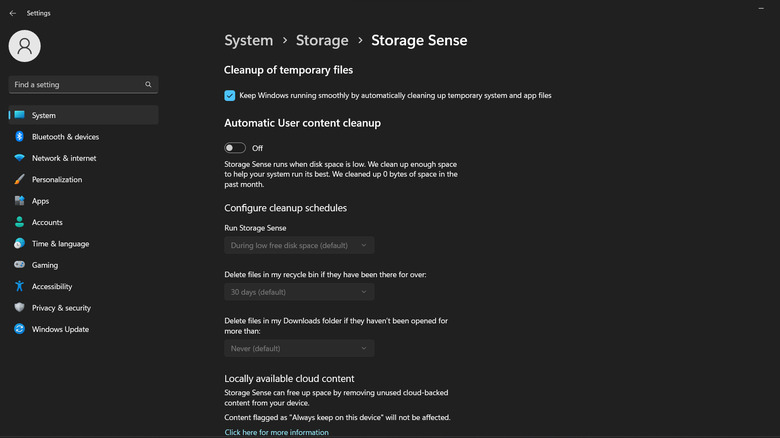 Windows 11 Storage Sense
