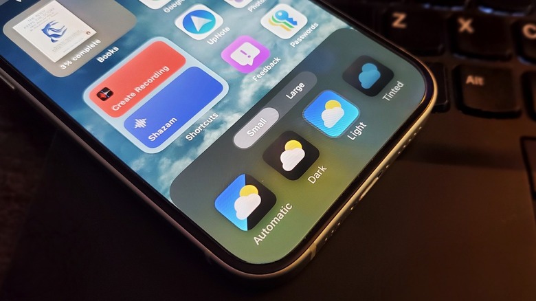 Icon them controls iOS 18