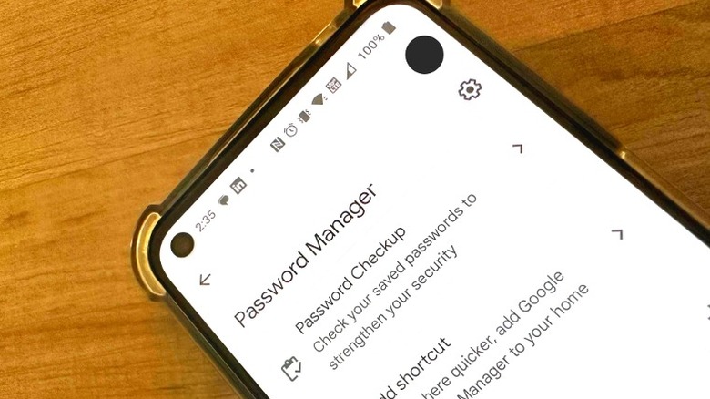 Google password manager screen