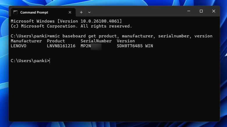 Terminal window showing motherboard's serial number