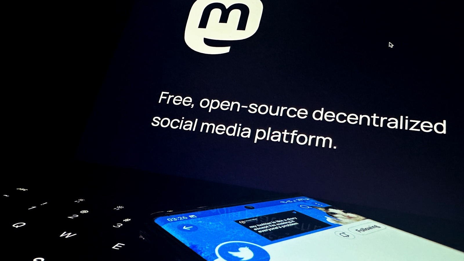 How To Find Your Twitter Followers On Mastodon