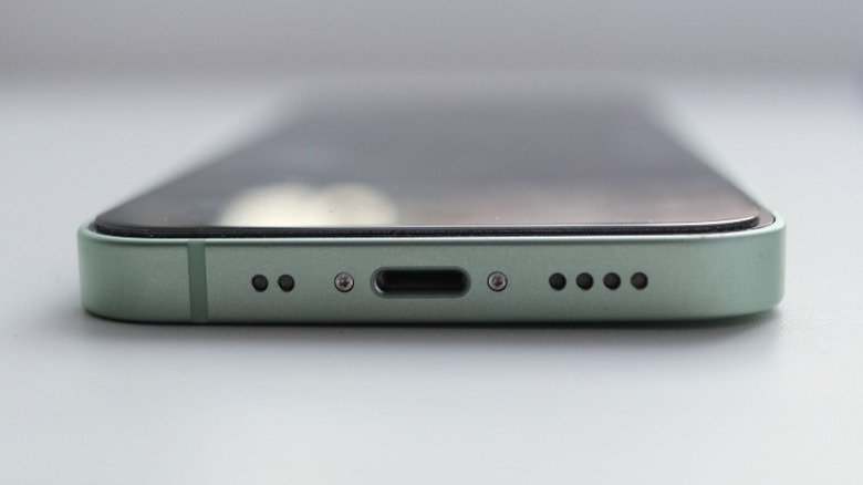 iPhone Lightning port