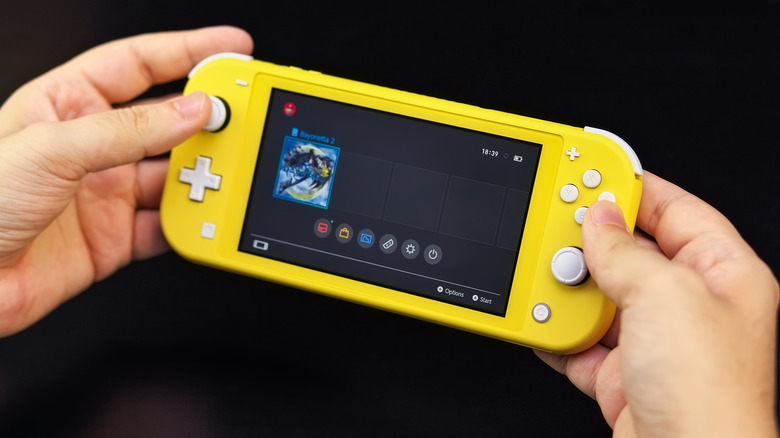 person holding nintendo switch lite