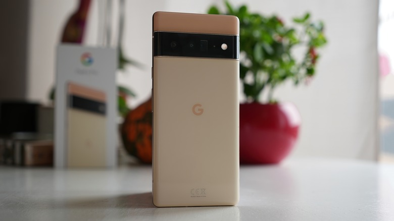 Google Pixel 6 Pro rear panel