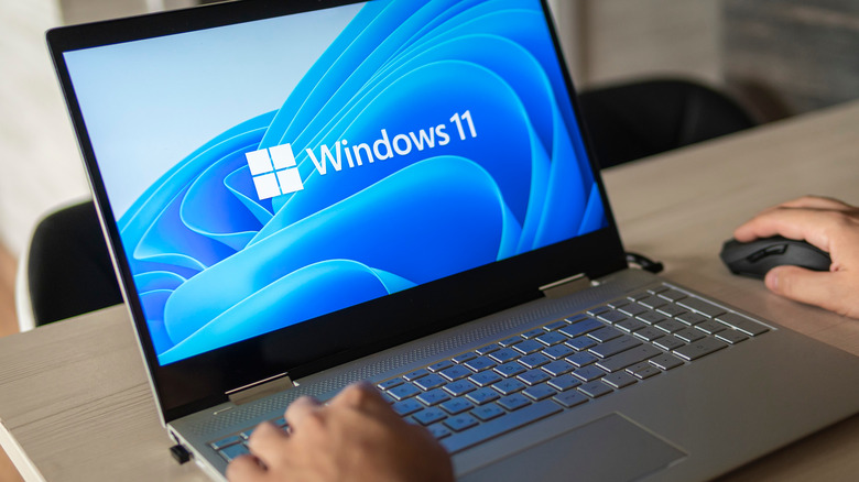 Windows 11 on computer screen