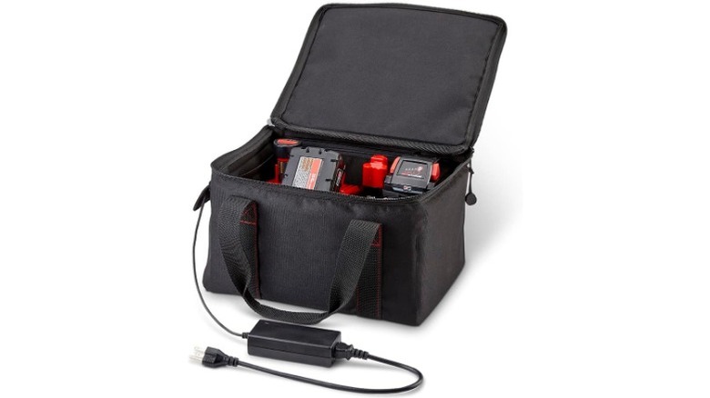 Electric battery storage bag