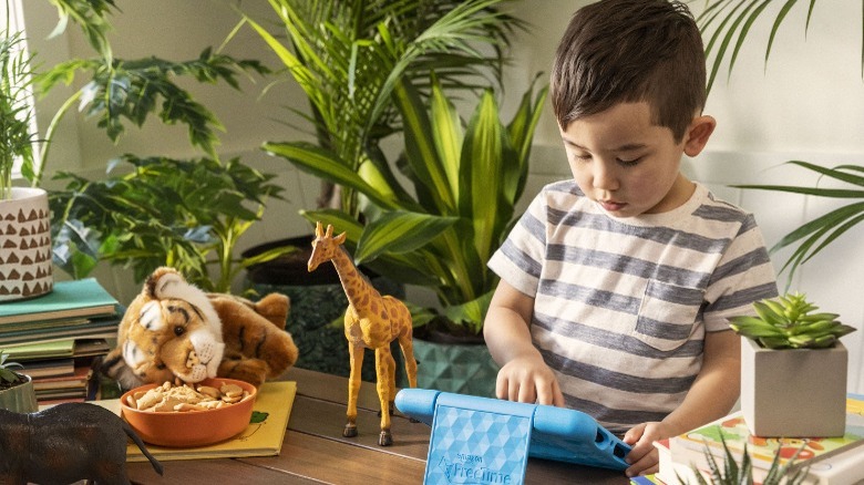 little boy using amazon fire tablet