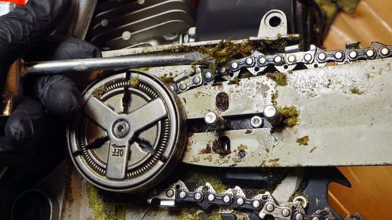 Cleaning wood chips from a chainsaw chain, drive sprocket, and guide bar.