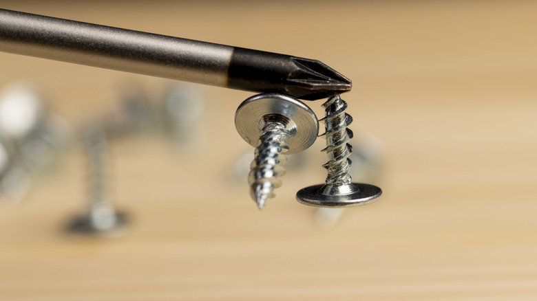 Magnetized screwdriver holding a screw