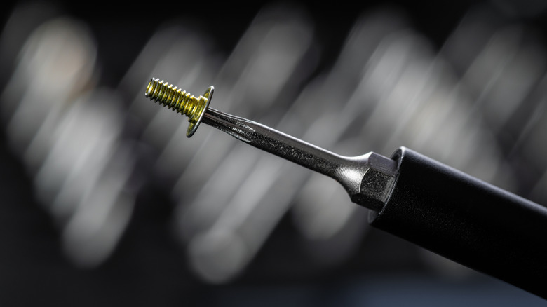 Magnetized screwdriver holding a screw