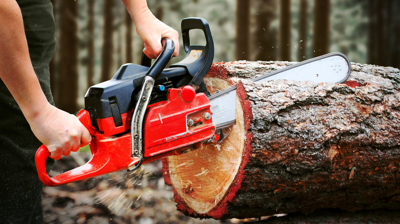 A chainsaw being used to cut into a tree trunk in a forest
