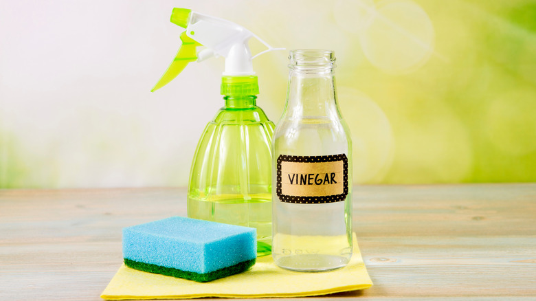 DIY glass cleaner made from vinegar