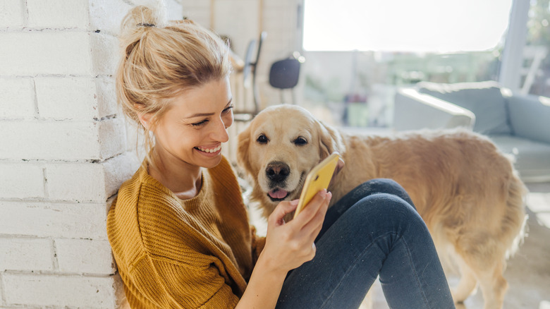 person and dog with smartphone